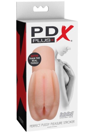 Perfect Pussy Pleasure Stroker Light skin tone Pipedream