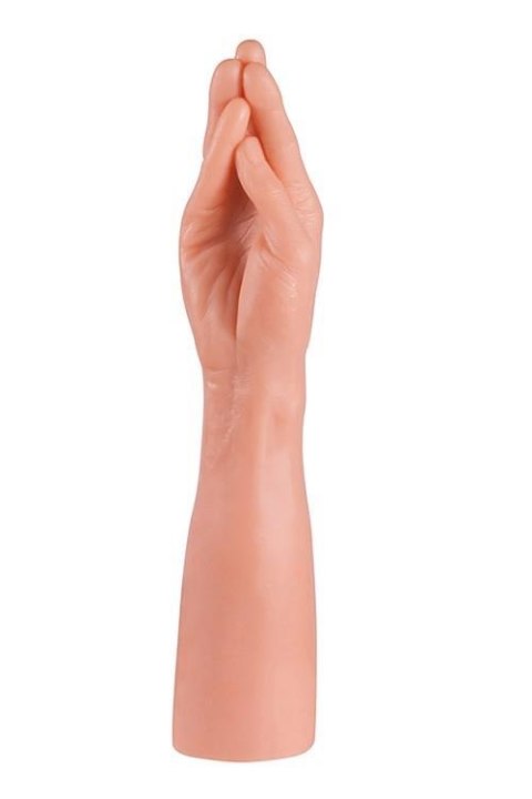 GIANT FAMILY - HORNY HAND PALM NMC GIANT FAMILY - HORNY HAND PALM NMC