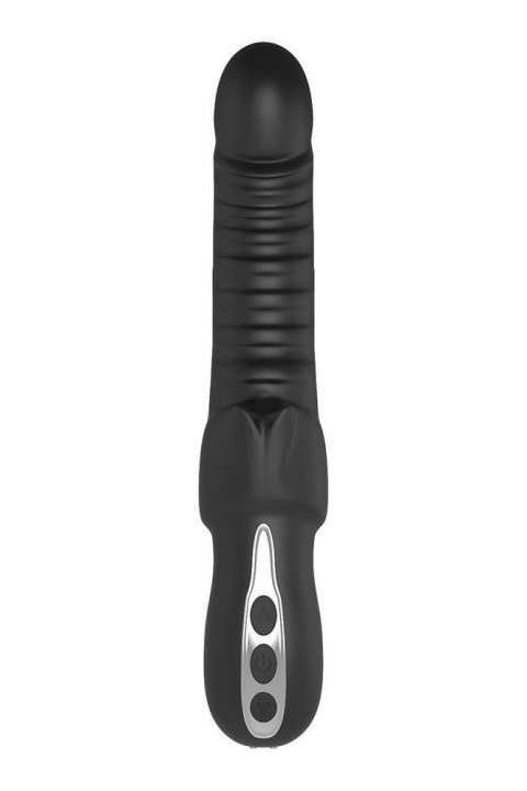 MIDNIGHT MAGIC TYPHON Dream Toys MIDNIGHT MAGIC TYPHON Dream Toys