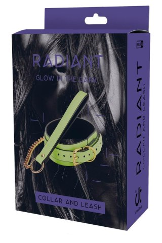 RADIANT COLLAR AND LEASH GLOW IN THE DARK GREEN Dream Toys
