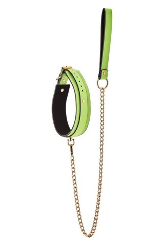 RADIANT COLLAR AND LEASH GLOW IN THE DARK GREEN Dream Toys