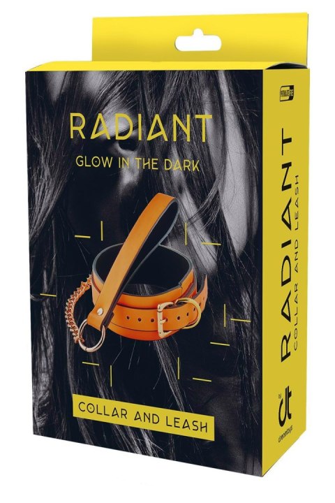 RADIANT COLLAR AND LEASH GLOW IN THE DARK ORANGE Dream Toys RADIANT COLLAR AND LEASH GLOW IN THE DARK ORANGE Dream Toys
