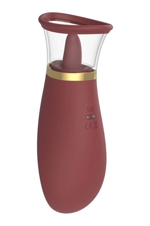 ROMANCE ROXY Dream Toys ROMANCE ROXY Dream Toys