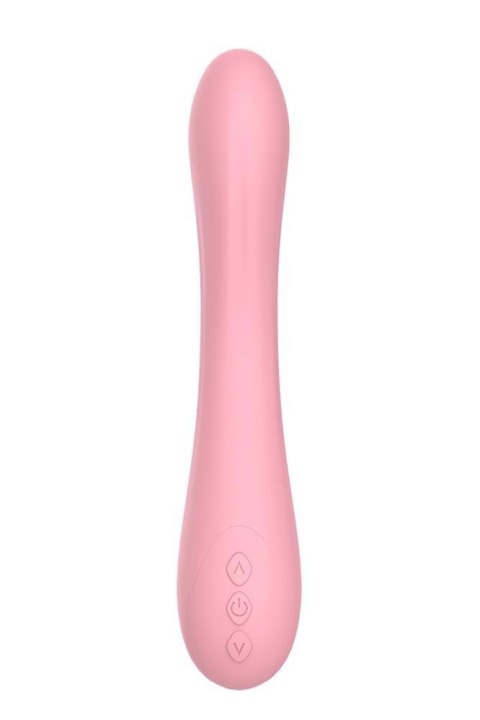 THE CANDY SHOP PEACH PARTY Dream Toys THE CANDY SHOP PEACH PARTY Dream Toys