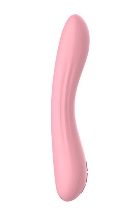 THE CANDY SHOP PEACH PARTY Dream Toys THE CANDY SHOP PEACH PARTY Dream Toys