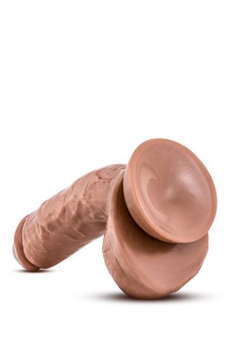 X5 MISTER GRANDE LATIN Blush X5 MISTER GRANDE LATIN Blush