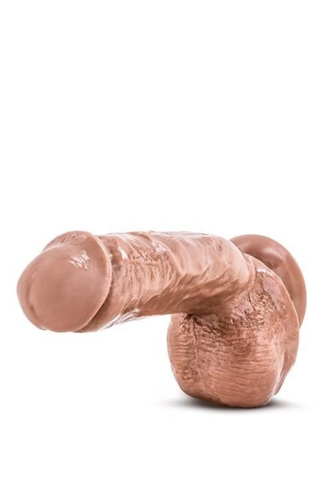 X5 MISTER GRANDE LATIN Blush X5 MISTER GRANDE LATIN Blush