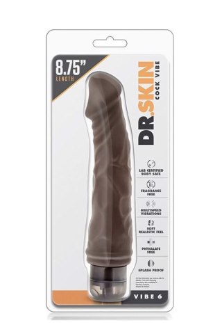 DR. SKIN VIBE 6 CHOCOLATE Blush