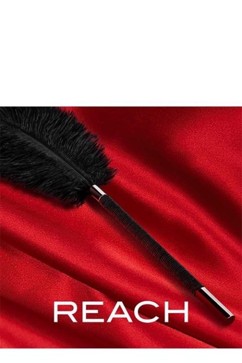 NOIR SOFT FEATHER TICKLER BLACK Blush NOIR SOFT FEATHER TICKLER BLACK Blush