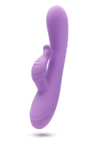 BLUSH EVELYN PURPLE Blush