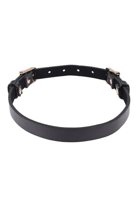 SEX AND MISCHIEF DOUBLE BUCKLE DAY COLLAR Sportsheets SEX AND MISCHIEF DOUBLE BUCKLE DAY COLLAR Sportsheets