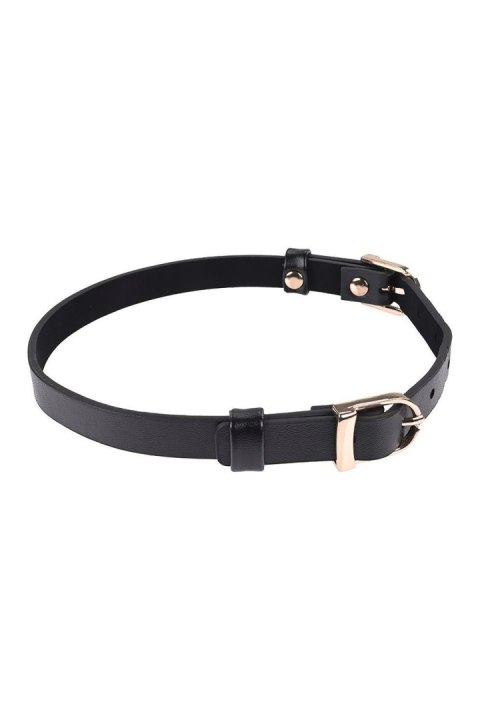 SEX AND MISCHIEF DOUBLE BUCKLE DAY COLLAR Sportsheets SEX AND MISCHIEF DOUBLE BUCKLE DAY COLLAR Sportsheets