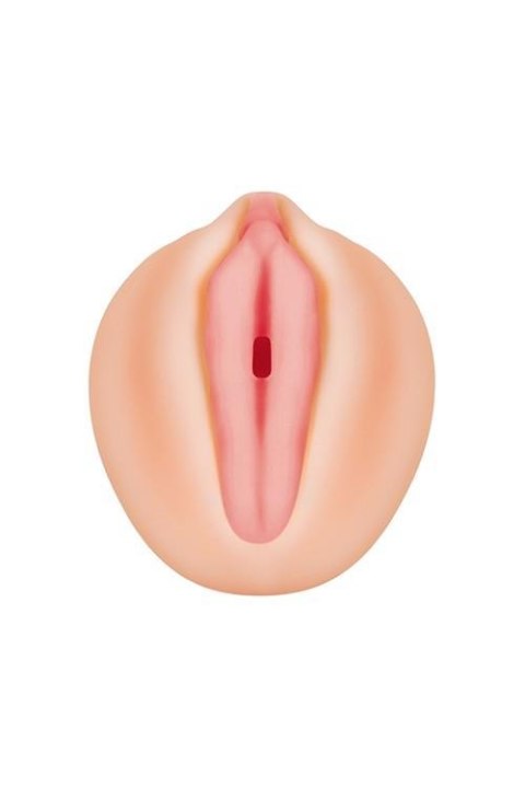 ALEXIS TEXAS REALISTIC VAGINA STROKER Zero Tolerance ALEXIS TEXAS REALISTIC VAGINA STROKER Zero Tolerance