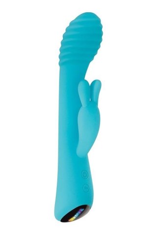 AQUA BUNNY BLUE Evolved