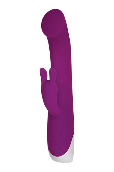 CUDDLE BUNNY PURPLE Evolved CUDDLE BUNNY PURPLE Evolved