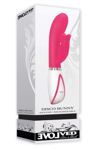 EVOLVED DISCO BUNNY Evolved