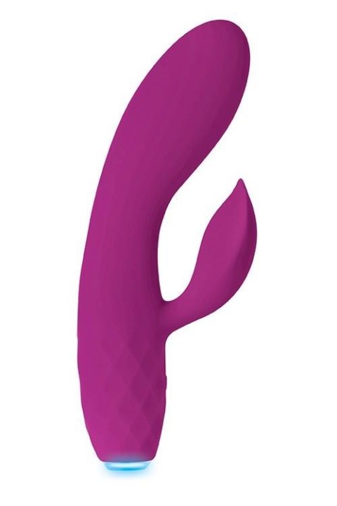 GLIMMER PURPLE Evolved GLIMMER PURPLE Evolved