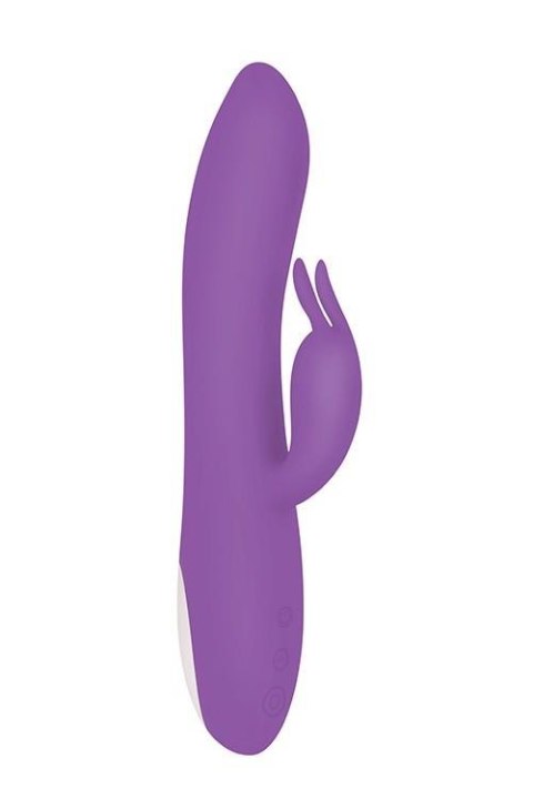 ROMANTIC RABBIT PURPLE Evolved