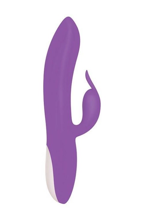 ROMANTIC RABBIT PURPLE Evolved