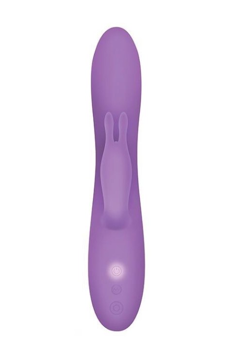 ROMANTIC RABBIT PURPLE Evolved