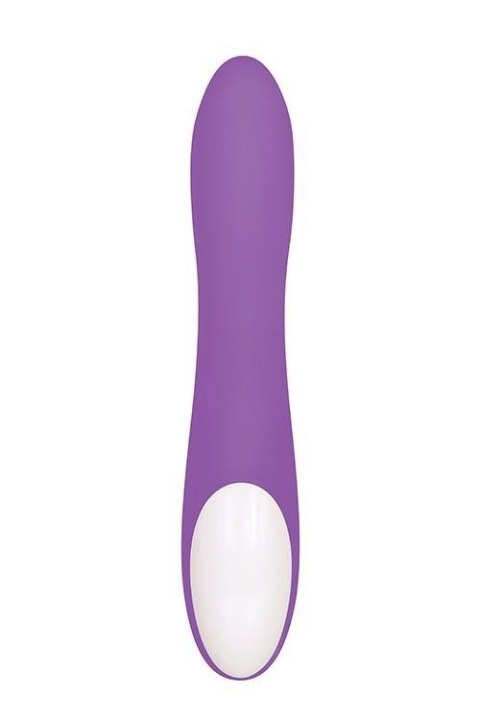 ROMANTIC RABBIT PURPLE Evolved