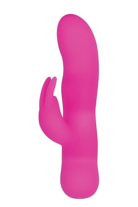 SUGAR BUNNY PINK Evolved SUGAR BUNNY PINK Evolved