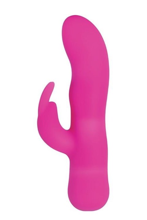 SUGAR BUNNY PINK Evolved SUGAR BUNNY PINK Evolved