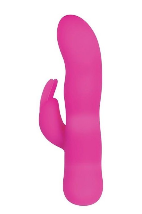 SUGAR BUNNY PINK Evolved SUGAR BUNNY PINK Evolved