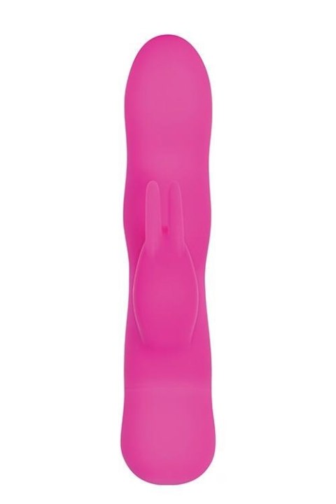 SUGAR BUNNY PINK Evolved SUGAR BUNNY PINK Evolved