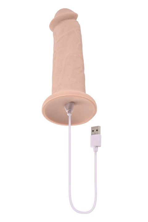 EVOLVED 7INCH GIRTHY VIBRATING DONG, LIGHT FLESH Evolved