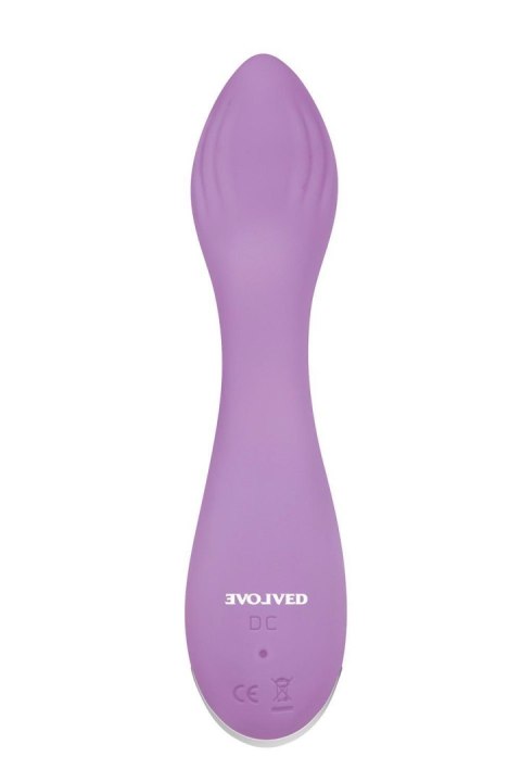EVOLVED LILAC G Evolved EVOLVED LILAC G Evolved