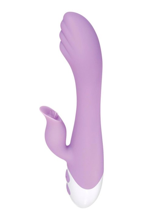 EVOLVED PLEASING PETAL Evolved