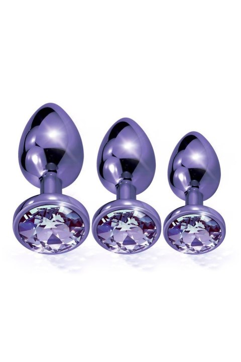 NIXIE METAL BUTT PLUGÂ TRAINERÂ SET, PURPLE METALLIC Global Novelties