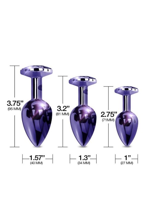 NIXIE METAL BUTT PLUGÂ TRAINERÂ SET, PURPLE METALLIC Global Novelties