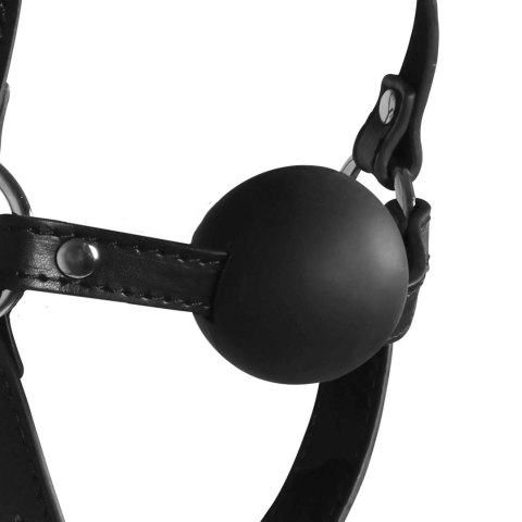 Blindfolded Head Harness with Solid Ball Gag - Black Ouch! Blindfolded Head Harness with Solid Ball Gag - Black Ouch!