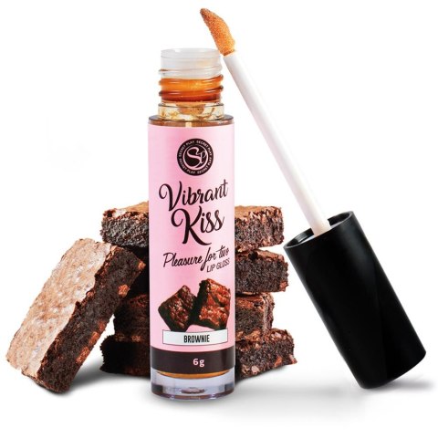 LIP GLOSS VIBRANT KISS BROWNIE Secret Play LIP GLOSS VIBRANT KISS BROWNIE Secret Play