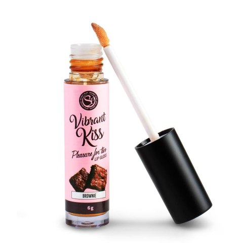 LIP GLOSS VIBRANT KISS BROWNIE Secret Play LIP GLOSS VIBRANT KISS BROWNIE Secret Play