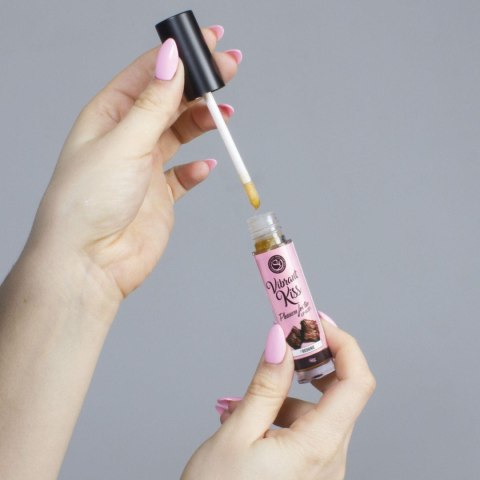 LIP GLOSS VIBRANT KISS BROWNIE Secret Play LIP GLOSS VIBRANT KISS BROWNIE Secret Play