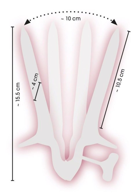 Vaginal Speculum Fetish Collection