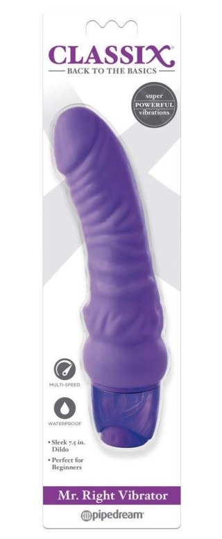 Mr. Right Vibrator Pink Classix