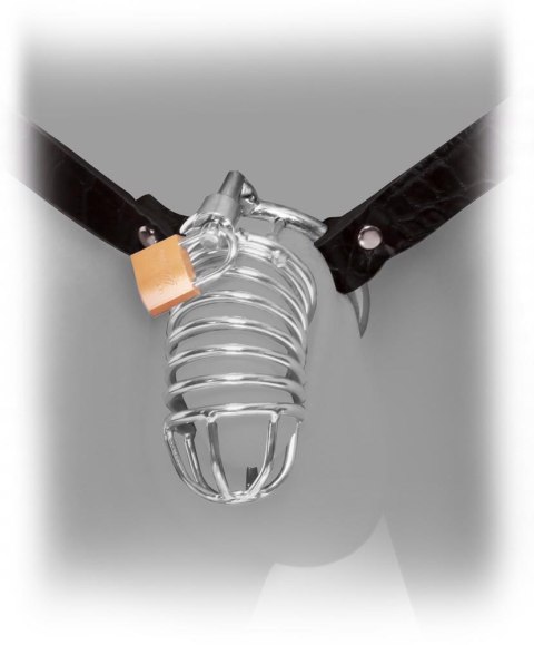FFE Extreme Chastity Belt Fetish Fantasy Extreme FFE Extreme Chastity Belt Fetish Fantasy Extreme