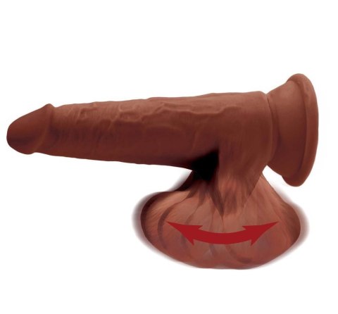 KCP 8 TDC w swinging balls bro King Cock Plus KCP 8 TDC w swinging balls bro King Cock Plus
