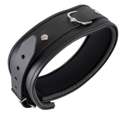 Leather Collar L/XL ZADO