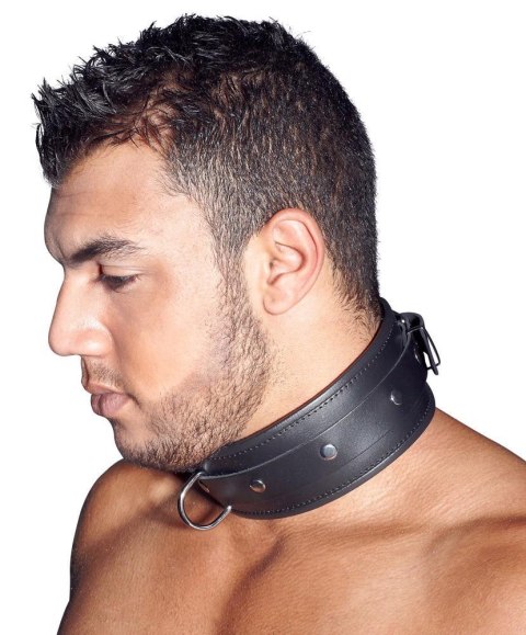 Leather Collar L/XL ZADO