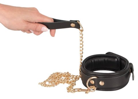 Leather Collar and Leash gold Wild Thing by Zado