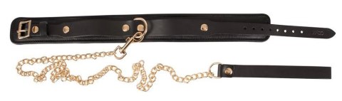 Leather Collar and Leash gold Wild Thing by Zado