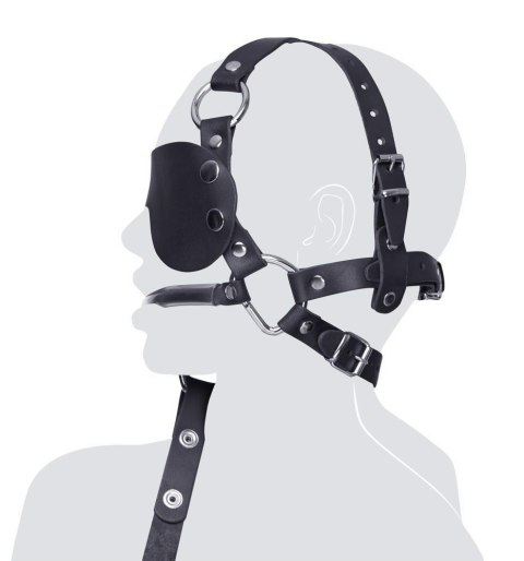 Leather Head Harness + Bit ZADO
