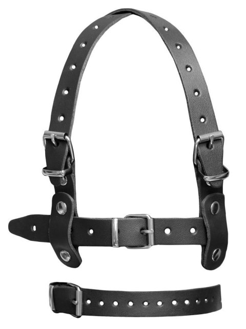 Leather Head Harness + Bit ZADO