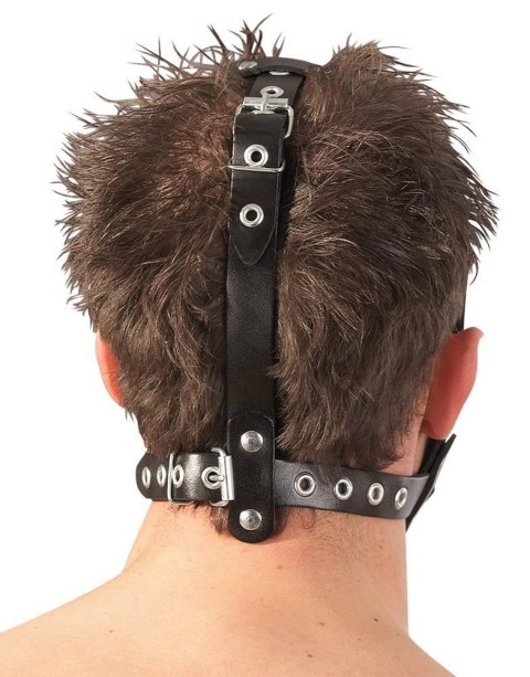 LeatherHead harness with Dildo ZADO