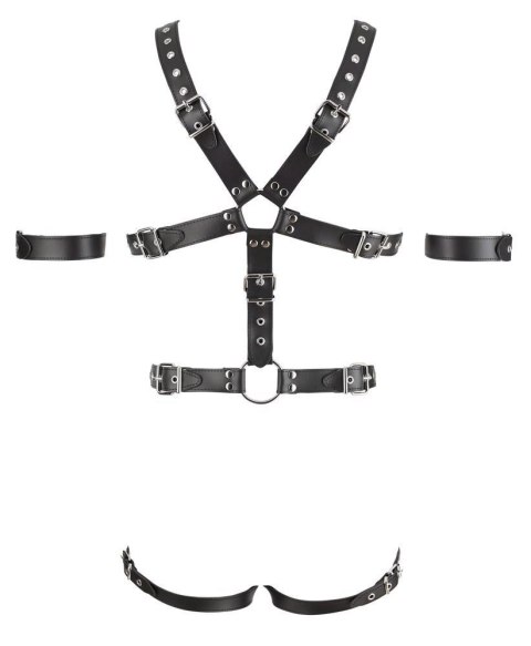 Men's Leather Harness S/M ZADO